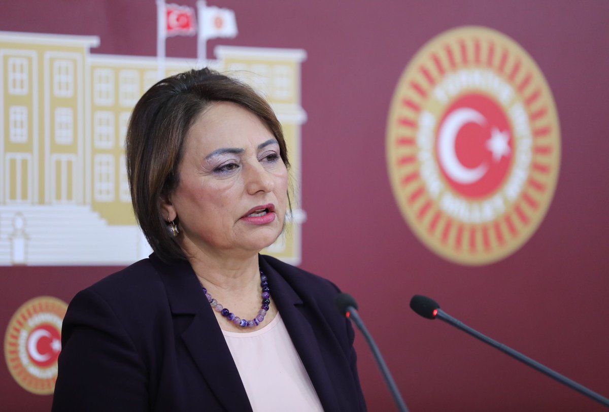 🔴 CHP Adana Milletvekili Dr. Müzeyyen Şevkin, Ukrayna’dan dönmek zorunda kalan öğrencilerin eğitimlerine devam edemediğine dikkat çekti
 
“Savaş mağduru öğrenciler çözüm bekliyor”
 
“Ukrayna’dan dönen öğrenciler eğitimlerine devam edemiyor”
 
ANKARA – Cumhuriyet Halk Partisi