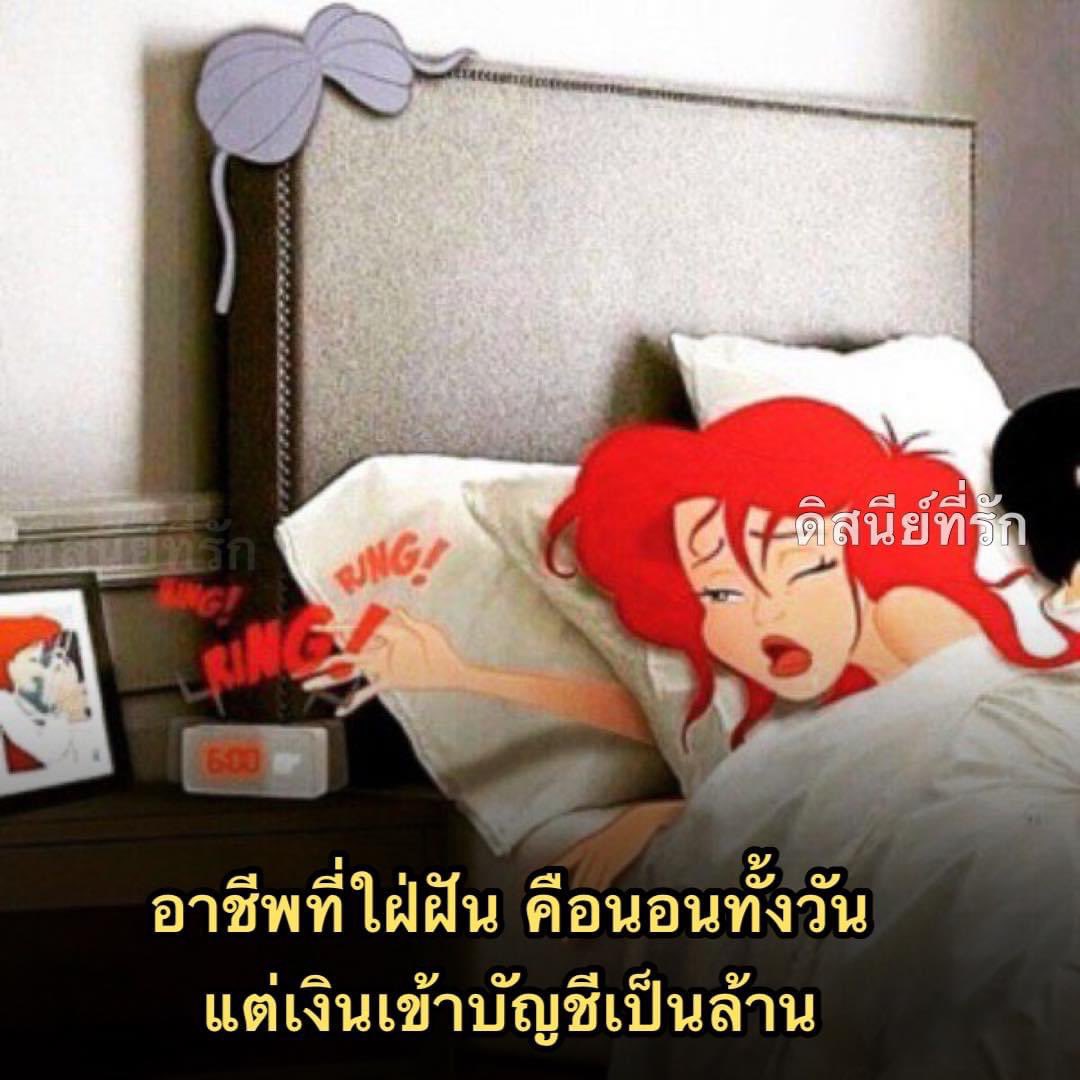 ช่างแม่ง🐰🏳️🌈 tweet media