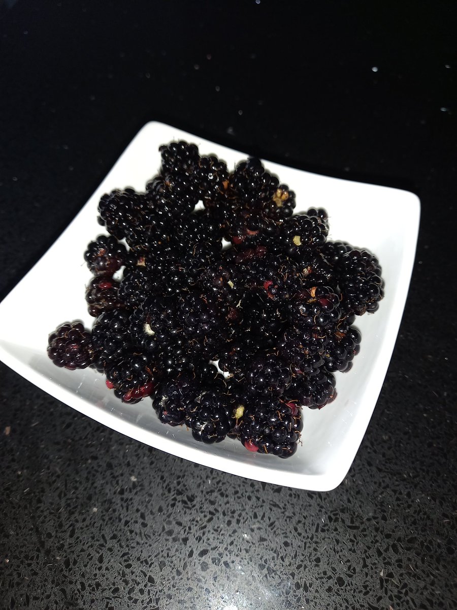 Ronnie Kelman tweet media