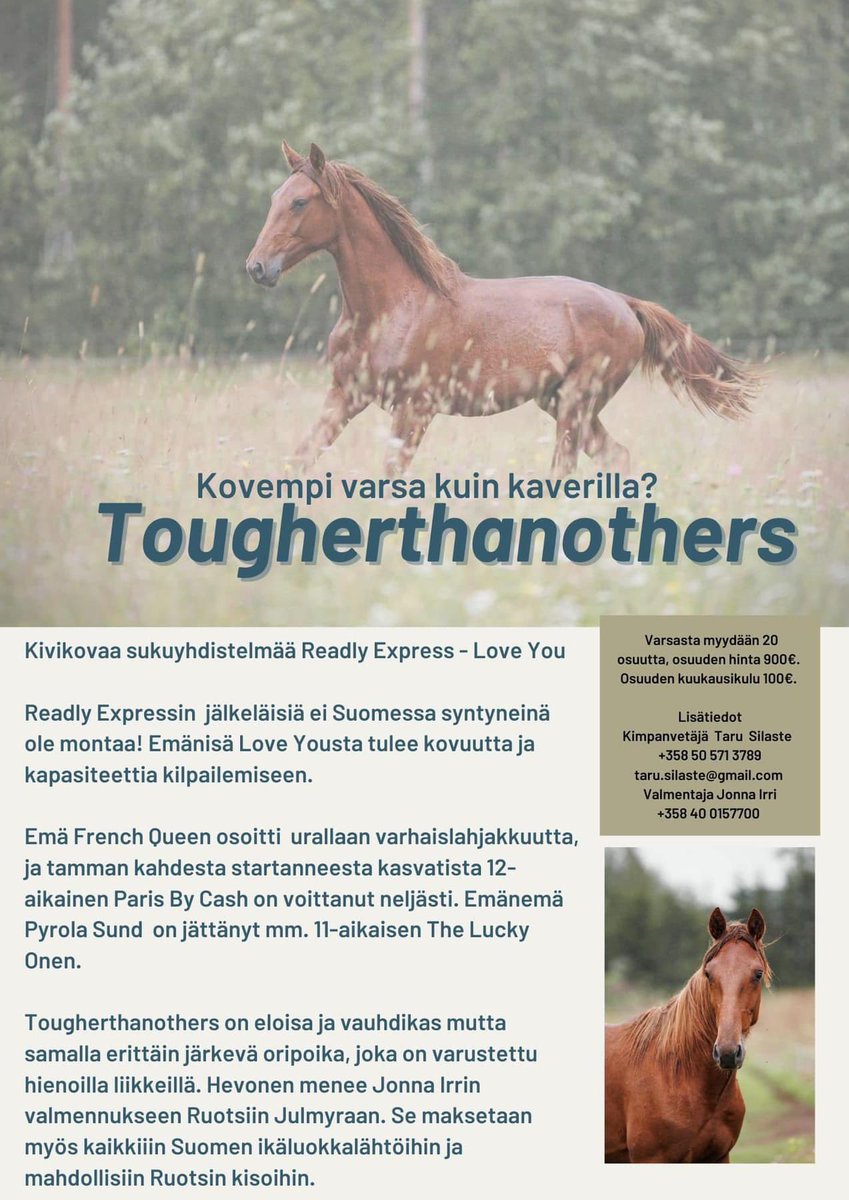 Oma Readlyläinen hakusessa? 

#ravit #raviurheilu #kimppavarsa