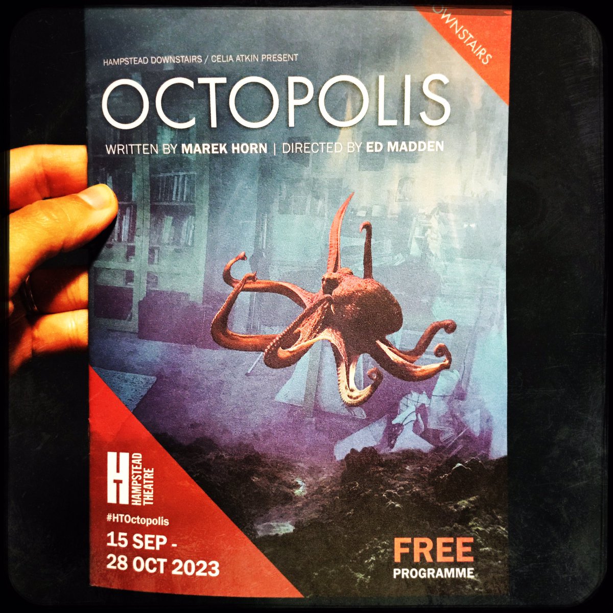 Illume_Movement's tweet photo. Previews have begun for this beautiful show…

#octopolis #HTOctopolis #movementdirector  🐙 https://t.co/7ODCYCKkTu
