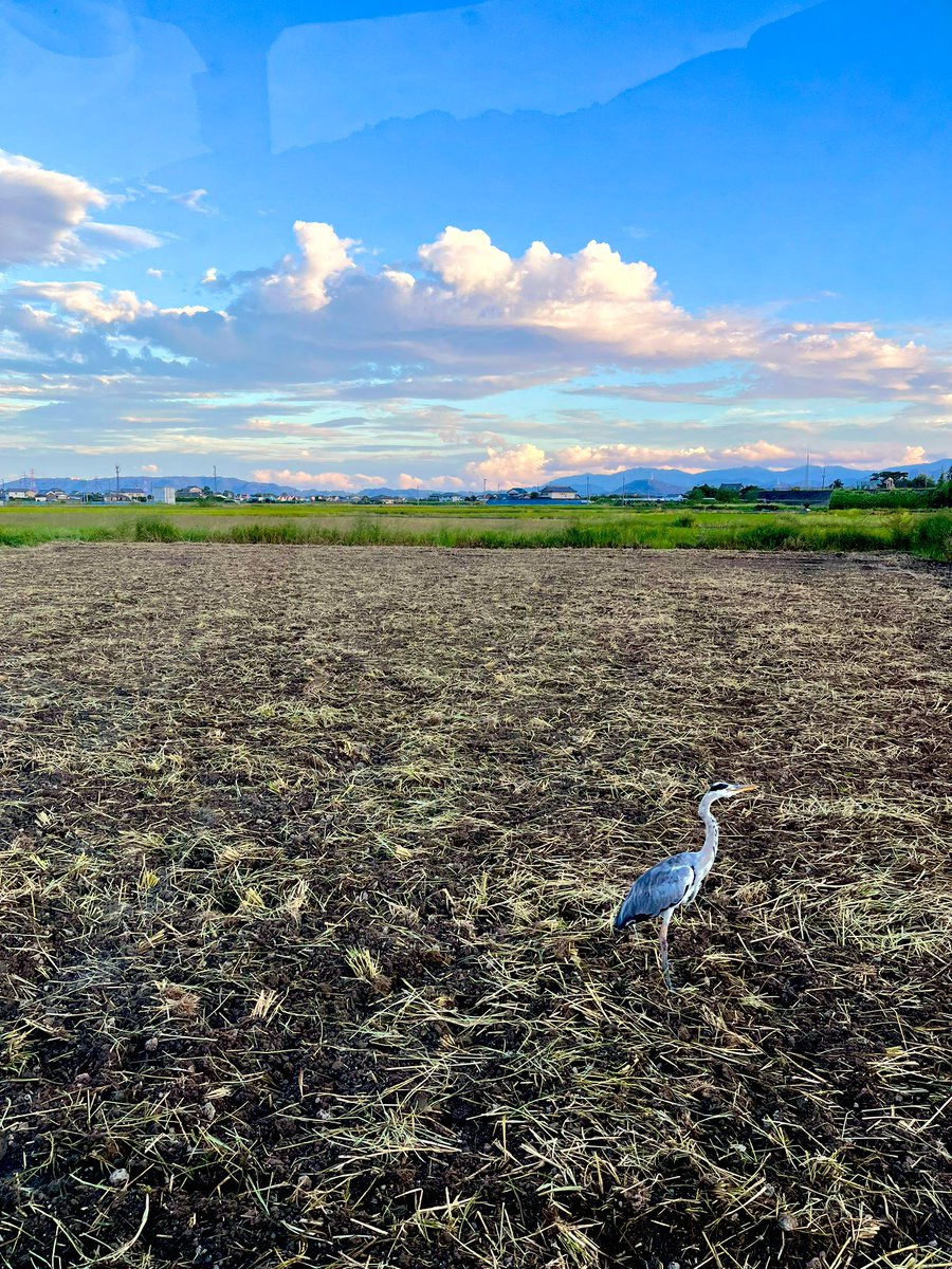 お米後を耕運してま〜す🚜

秋冬作、頑張りま〜す🥬😙