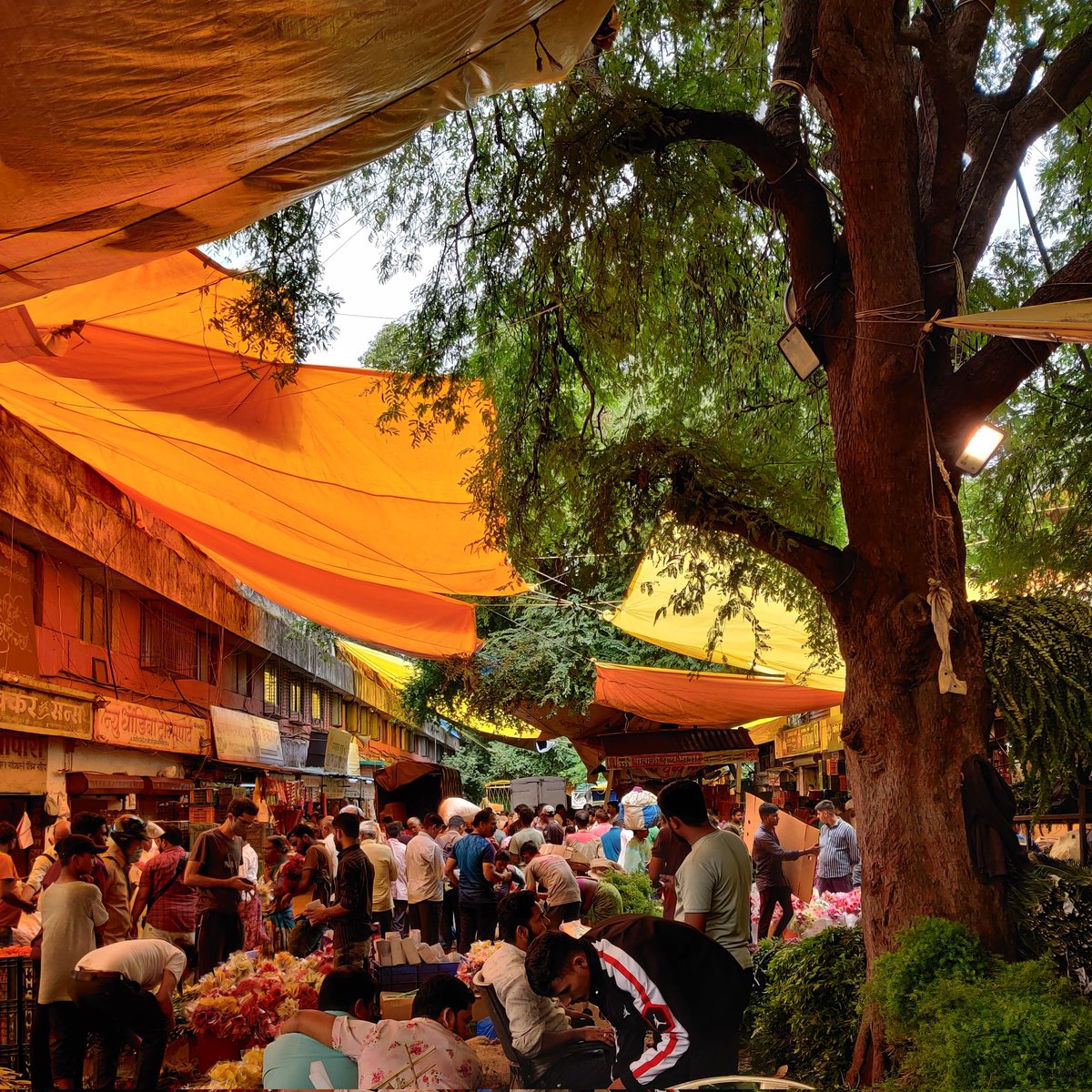 peshwapooja's tweet photo. Just the vibe of this city💚

Few glimpses from फुलांचा बाजार, Market Yard today🌷💐

#GaneshUtsav #Pune https://t.co/lm3qXQDayW