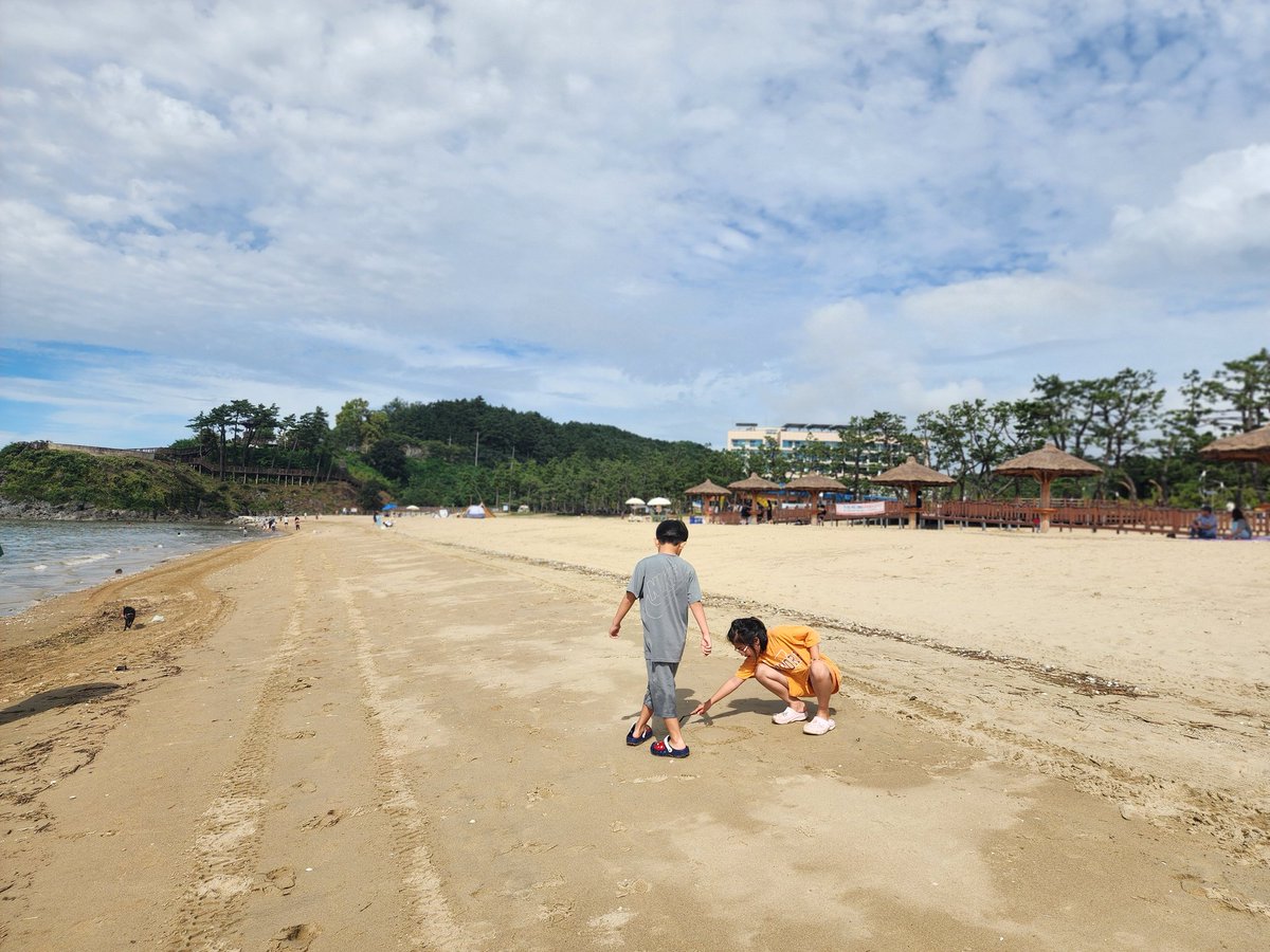 hingjjuni's tweet image. 심심해하는 강아지들데리고
주말바다드라이브?

#부안
#변산해수욕장