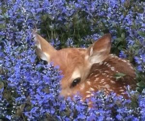 does !! (@fawnerys) on Twitter photo 