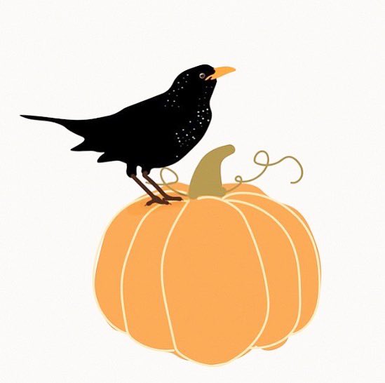 RadiateDaily's tweet image. #fallintoautumn with this perfect #fallplaylist on #spotify —

radiatedaily.com/the-perfect-au…