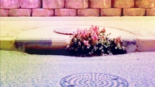 zai87d's tweet image. ترى الجمايل عند أهلها  كبيره  
لا تفعل المعروف في كف الأنذال
و اذكر جميل الكفو في كل ديره
ومن يجحد المعروف ما هو برجال..

.#حمدالله
#فعل_المعروف_في_بطن_الردي👇