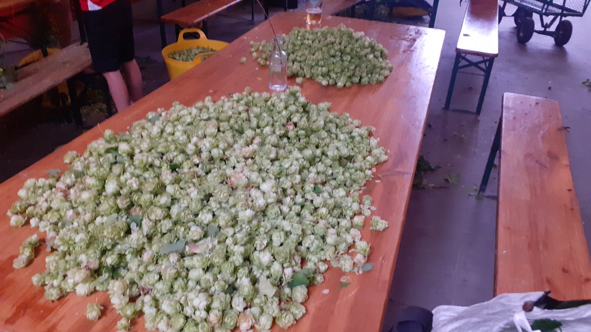 Carsmile Steve tweet media