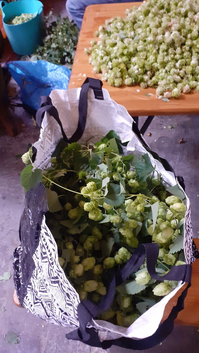 Carsmile Steve tweet media