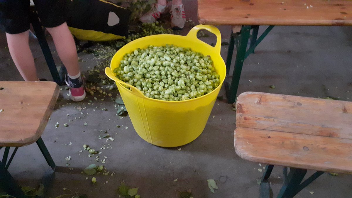 Carsmile Steve tweet media