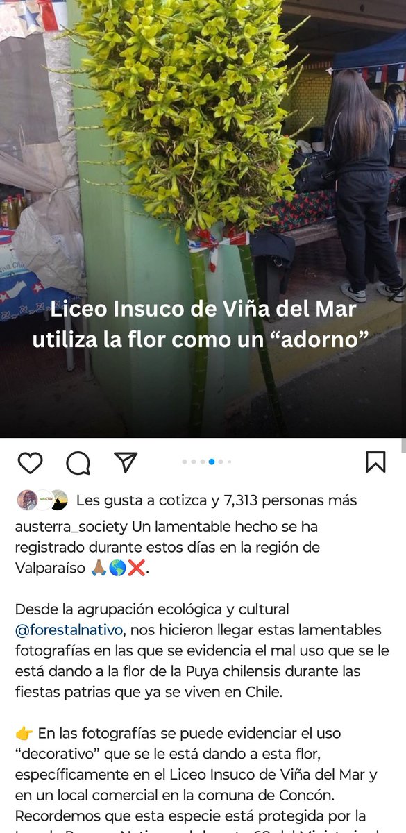 kvserhumano's tweet photo. Que dice el municipio de cuidados frente a esta demostración de incultura? @MacaRipa @vinadelmar 
https://t.co/BhKGJGl1sT
O es puro discurso solamente? https://t.co/tVDVt20jYw