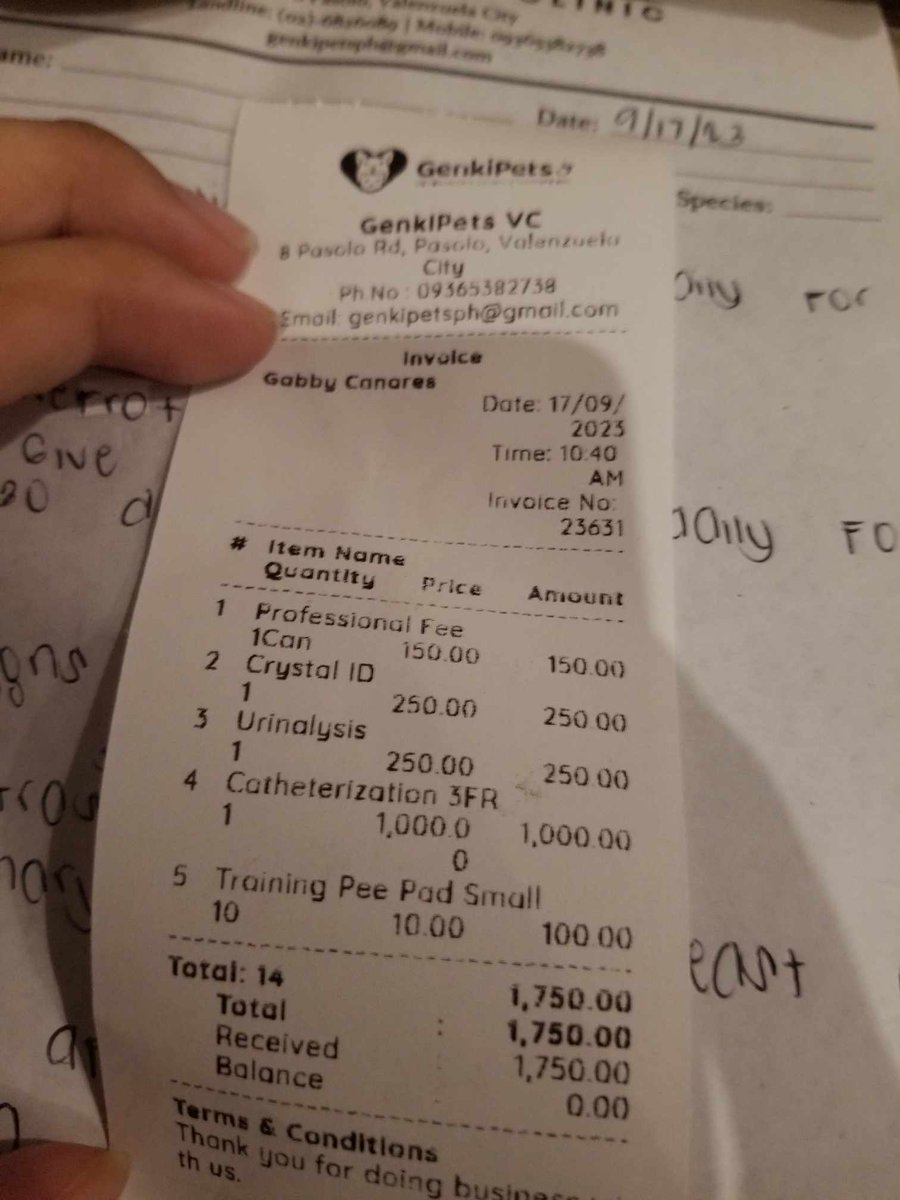 makimirumaru17's tweet photo. These are all the test and medicines that he needs. The vet said need blood chem and xray to see if its a liver disease or kidney. We need help so we can afford all his needs. A little amount is a big help for Maru. Thanks and God bless. #HelpMaru #HelpMycat https://t.co/s2lAojOtSI