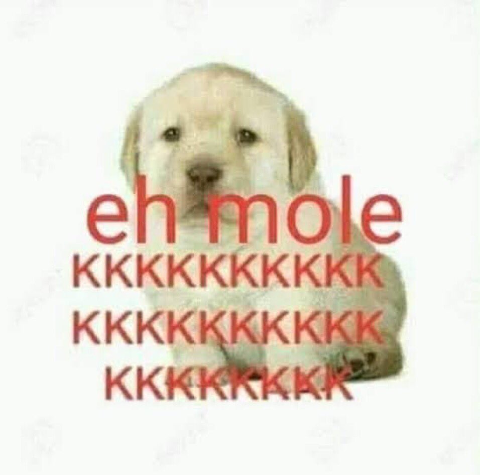 se divirto como o lando e o carlos trabalharam como companheiros de equipe e ele e o leclerc não