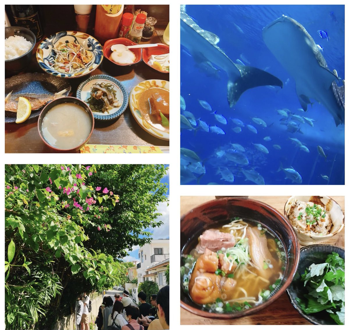 沖縄だいすき❤️まだちょっと暑すぎたけど最高✨