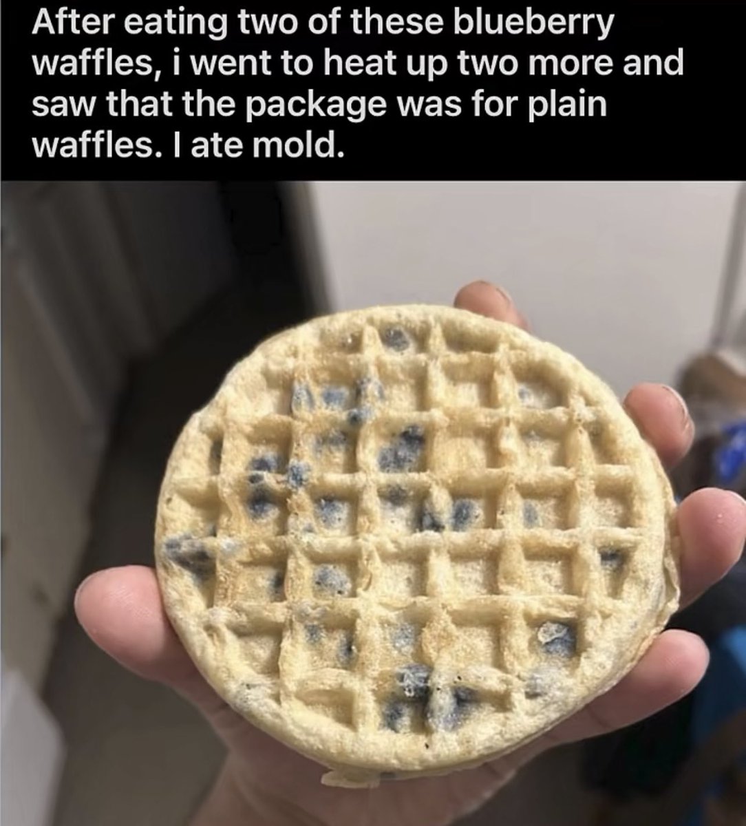 InternetH0F's tweet image. 