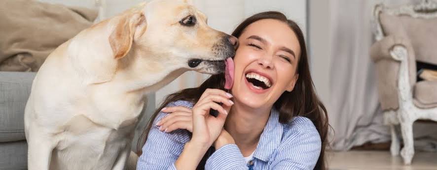 A companhia de um #animal de estimação pode diminuir o sentimento de #solidão. O #pet costuma estimular uma rotina de cuidado na casa. Brincar com os #bichinhos ou leva-los pra passear são ações que  contribuem pra quebrar a rotina e melhorar o humor. 
#ApoioEmocional 
#CVV188