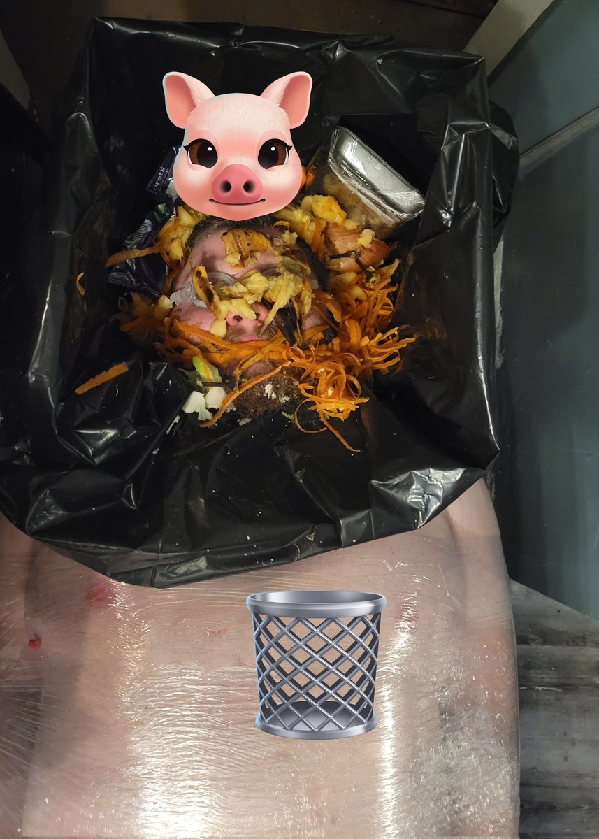 🗑️🐷❤️♥️