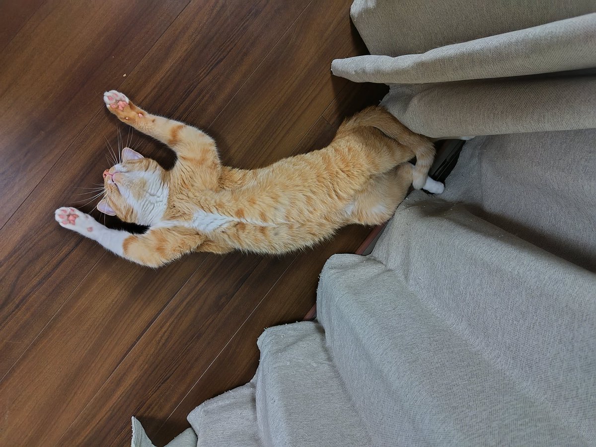 死体ごっこ…？