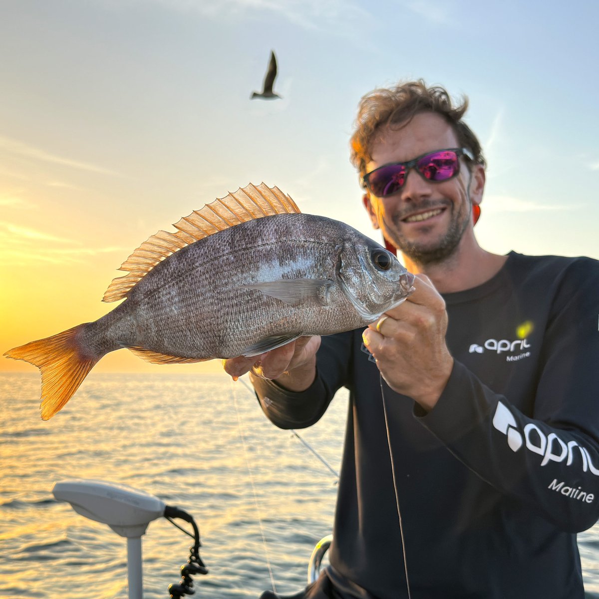 🌅 Belle dorade Dieppoise orangée  😎