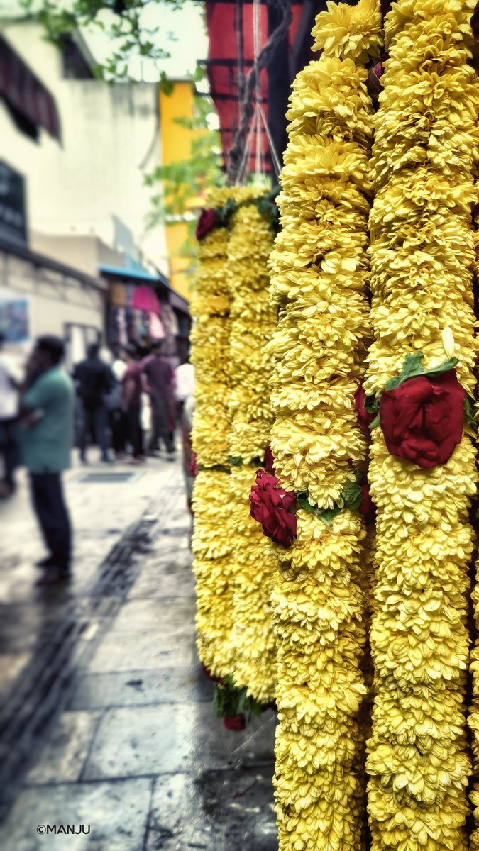 Gandhi Bazaar
#festive #GaneshChaturthi #OldBangalore