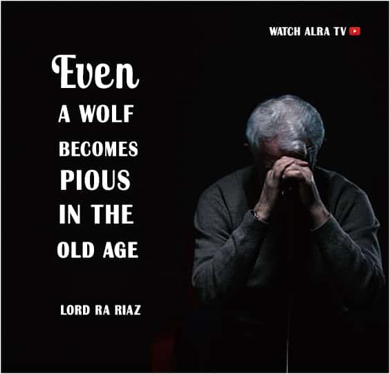 SahajadaShaikh1's tweet image. Even a #wolf becomes #pious in the old #age.
- His Divine Eminence RA #GoharShahi

#wolfdog #wolves #dog #animal #loyal #steadfast #staunch #devout #faithful #true #good #devoted #sprituality 

#WATCH #ALRATV Live at 3:00 AM IST.