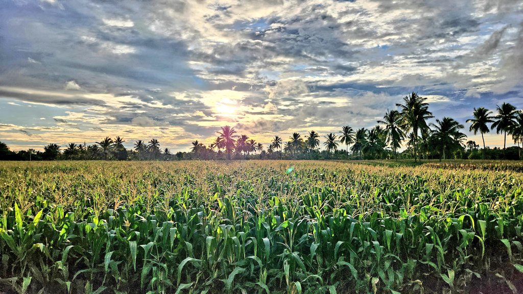 madangrv's tweet photo. #Chamrajanagara #photography #NaturePhotography #landscape #countryside #nature #Trending #karnataka #travelkarnataka #India @KarnatakaWorld @SamsungMobile #shotonsamsungs22 https://t.co/AHCaqKI0Qp