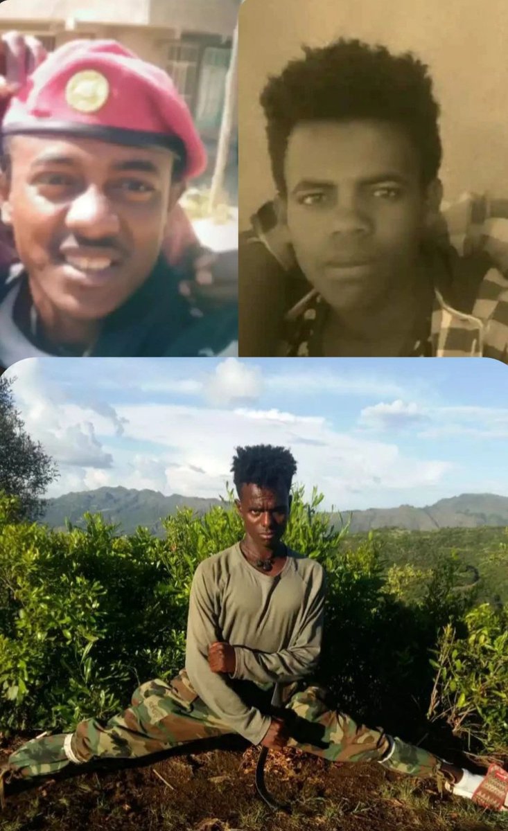 ShewitBitew's tweet photo. ተጋዳላይ ዳንኤል ኣዛዚ ሙሴ ክፍለሰራዊት ክሳዕ ጫፍ ደብረብርሃን ተቓሊሱን ኣቃሊሱን ዝመፀ ፡ ኣብቲ ሳልሳይ ወራር ድማ ፀጋማይ ጎኑ ተወቒዑ ዝመፀ ተጋዳላይ እዩ። 

ናብ በረኻታት ትግራይ ምስ ሰለስተ ኣሕዋቱ
1, ሃልሽ ተክላይ
2, ሃፍቶም ተክላይ
3, ደስታ ተክላይ 

ካብ ውቕሮ ኣትዩም ብጅግንነት ተቓሊሶም ሰለስቲኦም ኣሕዋቱ ተሰዊኦሞ እዮም። 

ትማሊ ዕለት 05/01/2016 መርድእ ተነጊርዋ ንቤተሰብን ፈተውትን ከፍልጥ እናተንቀሳቐሰ እናሃለወ ፡ብፖላዊስ ንምንታይ ትእውጅ ተባሂሉ ተኣሲሩ ነይሩ። 

ሕዝ ድማ ምእዋጅ ተፈቒዱ እዩ ኣይፈለጥናን ነይርና ኢሎም ፈቲሖምዋ ናብ ቤተሰብ ጉዕዞ ከምዝጀመረ ነጊሩኒ ኣሎ። 

እቲ ዝሕዝን ግን ከየፃረዩ እናኣሰሩ ኣብ ሓዘን ዘሎ ህዝብና መሊሶም ናብ ሓዘን ይእትውዋ ምህላዋም እዩ። 

ፅንዓት ንመላእ ተጋሩ ቤተሰብን ንህዝቢ ትግራይን ፡
ዘልኣለማዊ ክብርን ሞገስን ንጀጋኑ ስውኣትና !!!