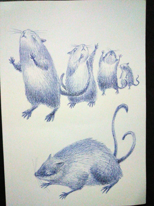 本日の会場でのボールペン落描き。何故鼠のダンスを描こうと思ったのか己は。 