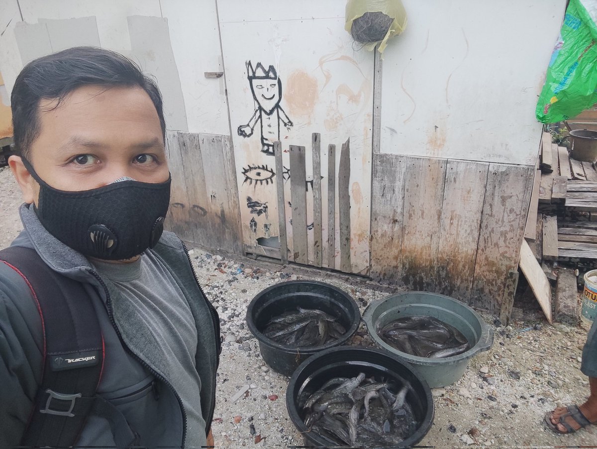 Maidi_Humaidi's tweet photo. Ahad (17/09), M. Humaidi, Luhkan Kota Banjarmasin, di POKDAKAN Belayung Mandiri Kel. Pemurus Dalam, Panen Lele, Teknologi Sederhana, Sebanyak 50 kg, Luas Kolam 30 m², Bobot Ikan ± 166 gr, Harga Rp. 20.000/kg
@bppsdm_kp @bppsdm_bp3bwi
#GiatLuhkanSatminkalBWI
#KtBjrmasin #Panen https://t.co/WeYhWkId9E