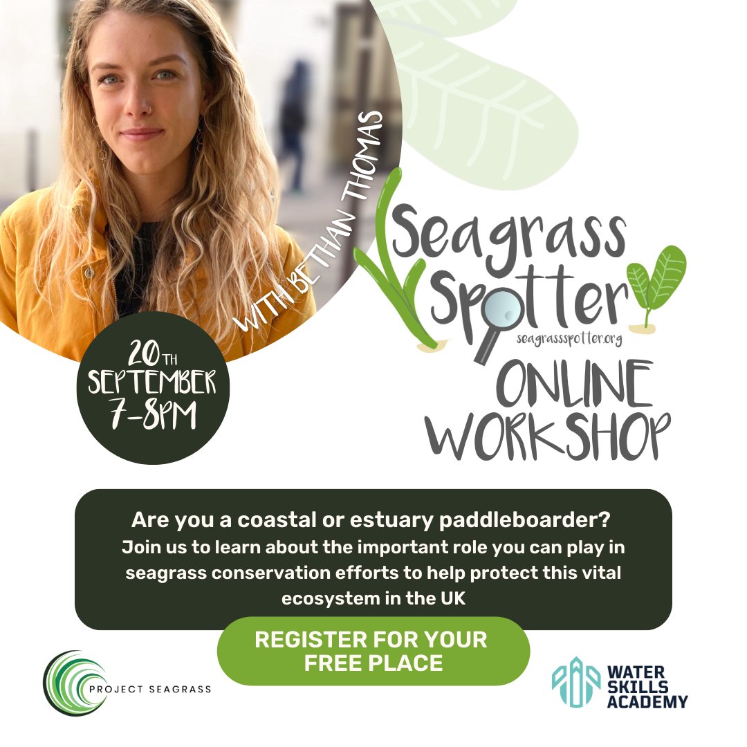 Join WSA &
@ProjectSeagrass
for a FREE online workshop THIS Wednesday at 7pm: us02web.zoom.us/webinar/regist…  #seagrassconservation #seagrassspotter #ukseagrass #projectseagrass #citizenscience #seagrassmeadows #coastalconservation #marineconservation