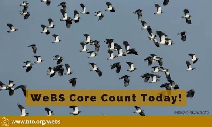 Fancy being part of the @WeBS_UK team? Thousands (literally) of birdwatchers will be counting #waders & other wetland birds today (or over the weekend). Why? See this blog: wadertales.wordpress.com/2017/10/04/wet… Joint @_BTO @RSPBScience @JNCC_UK project