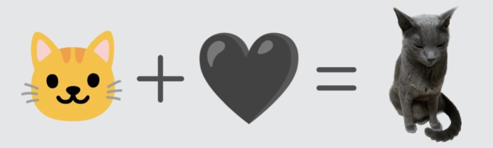 회색의 봉구🐾 (@bong_gu_0329) on Twitter photo 