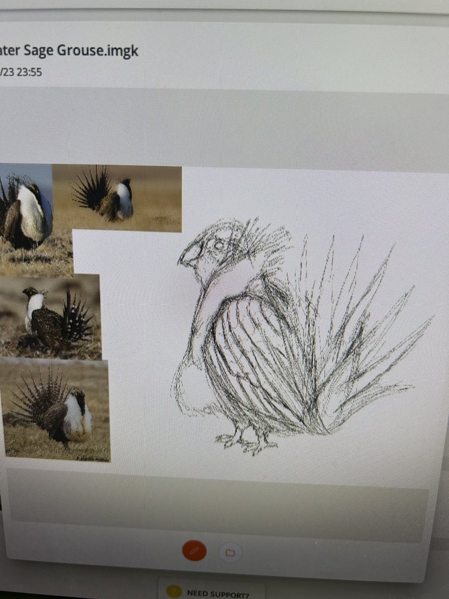ChattyChatot's tweet photo. Let’s art! Live now! Let’s go!!🦜❤️ #girlgamer #gamergirl #smallstreamer #twitchaffiliate #twitch #birds #birdlovers #birbart #birdorb #birbstagram #smallstreamer #supportsmallstreamers #birb #bird #howtodraw #septembird #septembirds #septembird2023 #septembirdchallenge https://t.co/EIRsFM0rX4