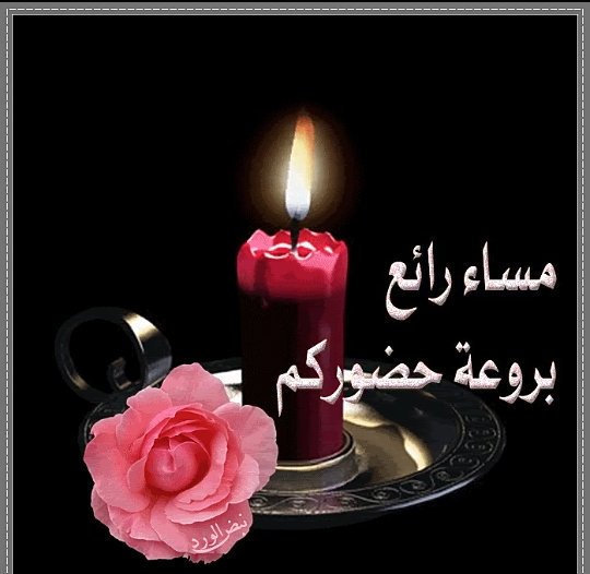 Salman Alasfoor tweet media