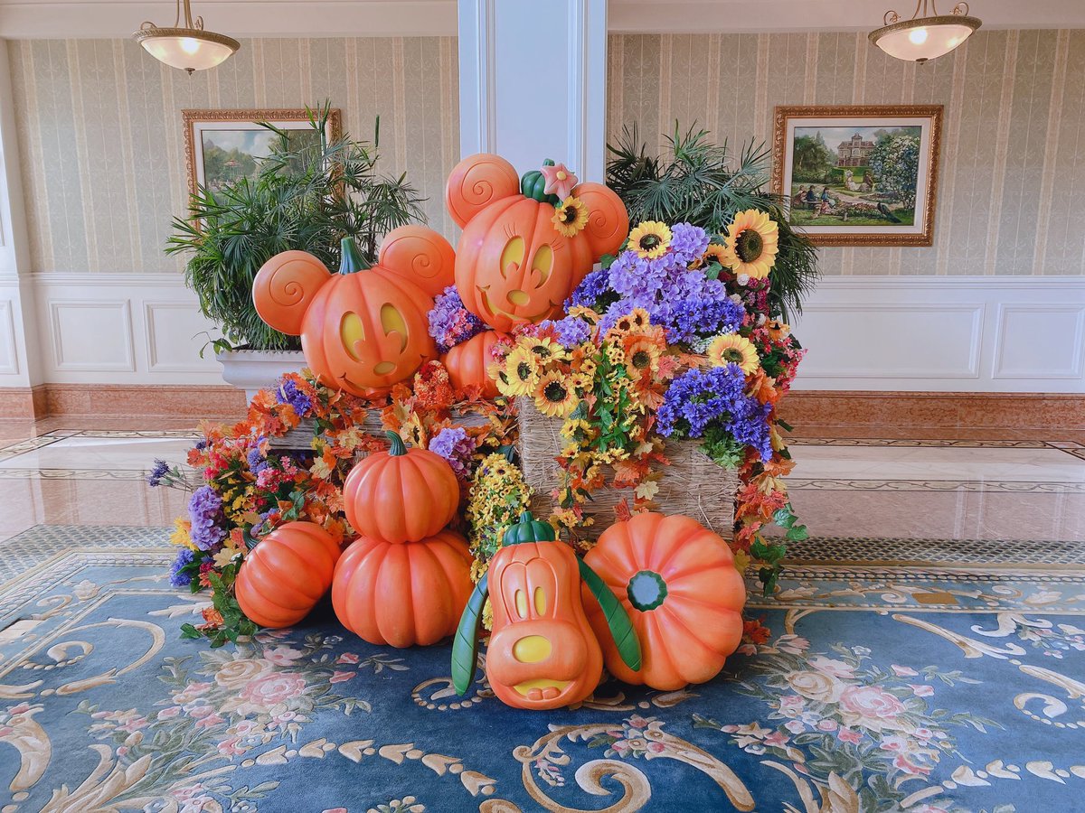 mana_d_g's tweet photo. 約4年振りの香港🇭🇰
めちゃくちゃ暑かったけどハロウィン最高でした🎃 https://t.co/UQYAmZ1dcM
