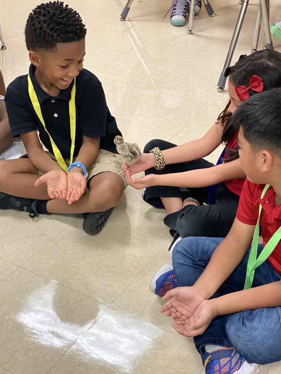 LisaAnnHunt2's tweet photo. Life Cycle Science 💛We’ve experienced it first hand! Thank you @KHolleyEdS for sharing with us! @SeminoleTrails @STEPrincipalJJ @STES_Bush https://t.co/7jzYtvPlpo