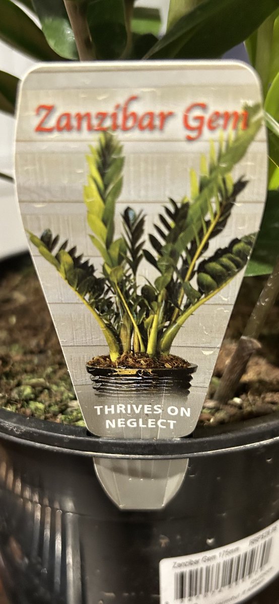 Sad that I’ve had to wait till now to meet my perfect partner…