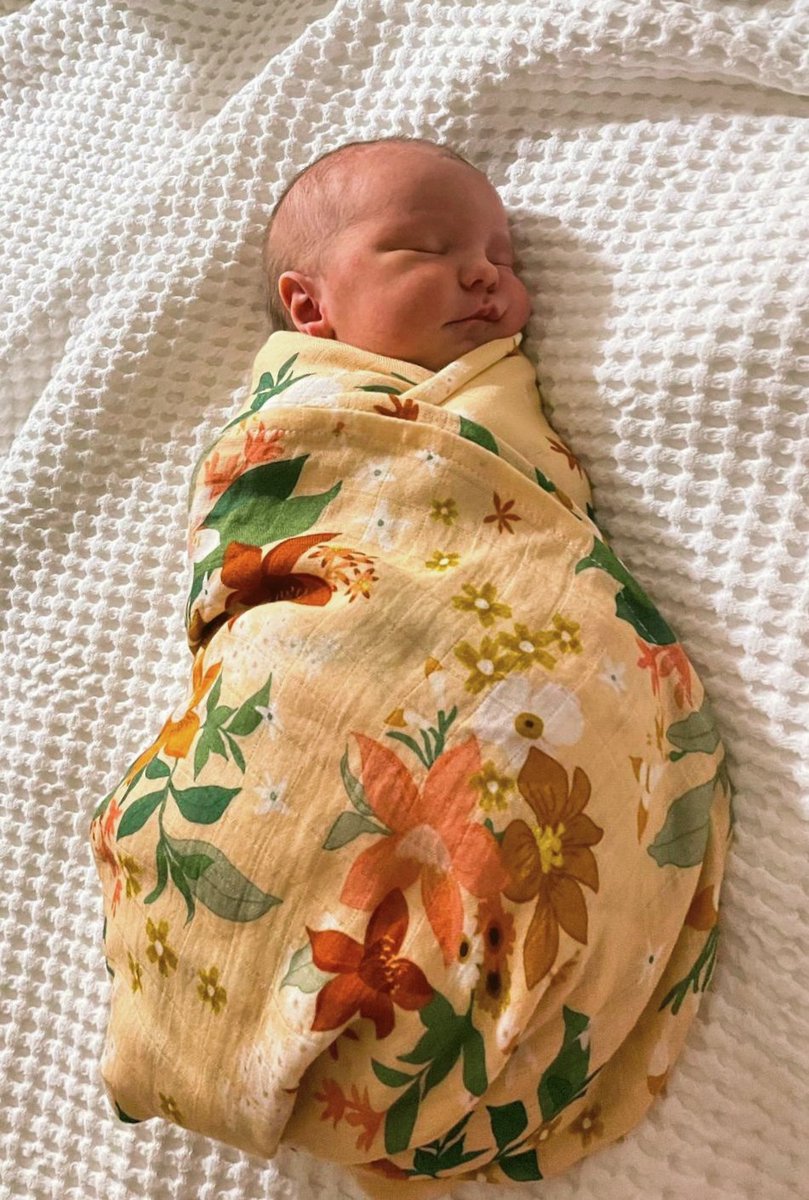 Flo Le Mens tweet media