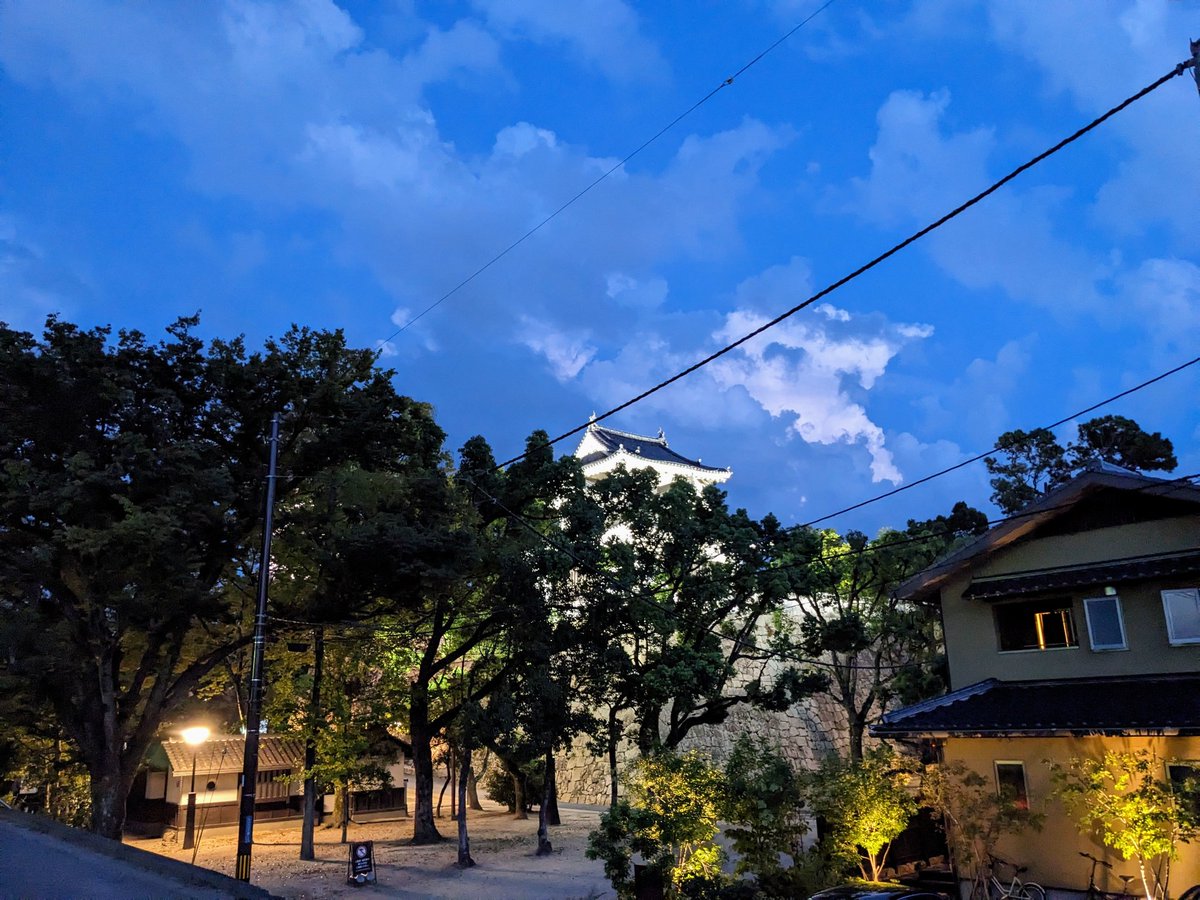 NIZI_hiro's tweet photo. 夜の岡山城 https://t.co/IwAbXw6BlF