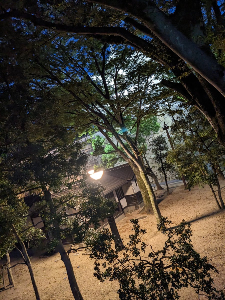 NIZI_hiro's tweet photo. 夜の岡山城 https://t.co/IwAbXw6BlF