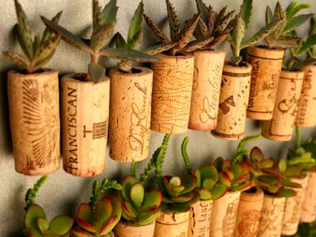 thisisfreegle's tweet photo. What do you do with old corks?
Find things to upcycle and/or give away unwanted things via our great big, friendly reuse communities - 500 #Freegle groups around the U.K. await you and your stuff!
Download our #Free app https://t.co/8SBiKE6oYt to make #reuse your new normal https://t.co/bwT3OTUK1d