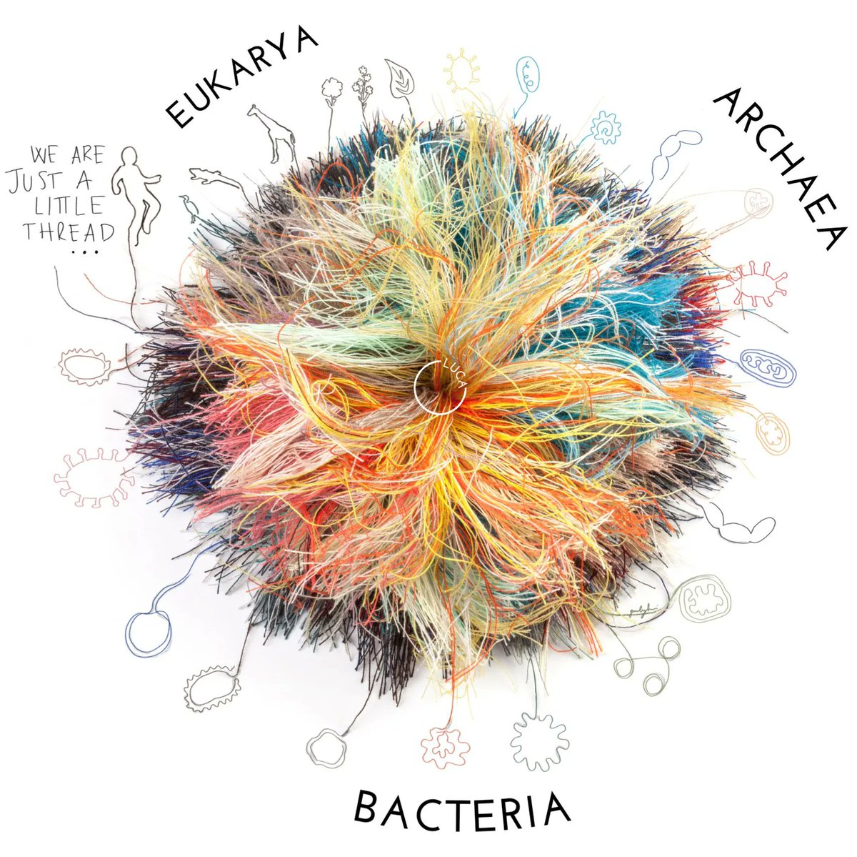 FEMS (@femsmicro) on Twitter photo 📢 The best Illustration for #MicrobeArt2023 goes to is <a href="/Giulia_Ghisleni/">Giulia Ghisleni</a>! 👏👏 We all loved your illustration showing the threads of life!
#InternationalMicroorganismDay <a href="/IntMicroDay/">International Microorganism Day</a> 📢 The best Illustration for #MicrobeArt2023 goes to is <a href="/Giulia_Ghisleni/">Giulia Ghisleni</a>! 👏👏 We all loved your illustration showing the threads of life!
#InternationalMicroorganismDay <a href="/IntMicroDay/">International Microorganism Day</a>
