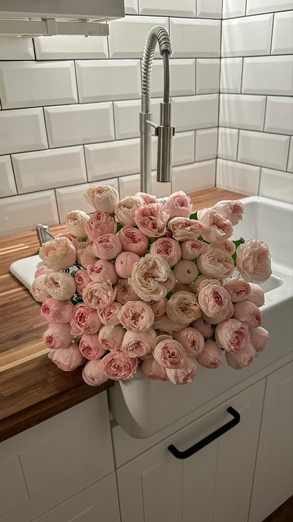 Roses✨