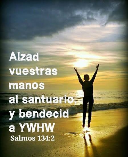 Salmos 134
Alabar a Jehová por las noches, en la vida pasaremos momentos difíciles sin embargó a pesar de la dificultades debemos seguir adorando a nuestro creador.
#rpsp
#PrimeroDios