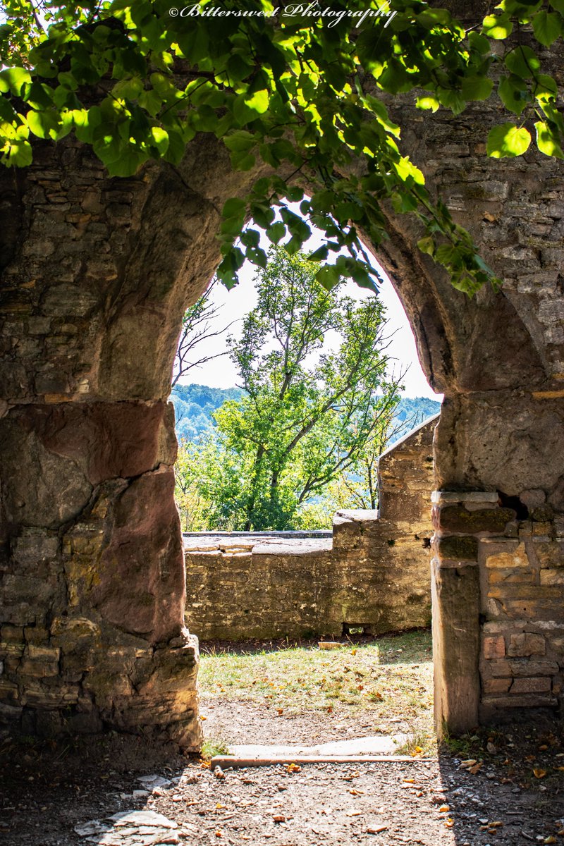Es gibt neue #Fotos auf 
bittersweet-photography.de 
diesmal aus #Göttingen.
Schaut mal rein 😎

#Canon #Eos200d #fotografie #Photography #Kurztrip #Städtetrip #Blumen #Fachwerk #BurgPlesse #Gänseliesel