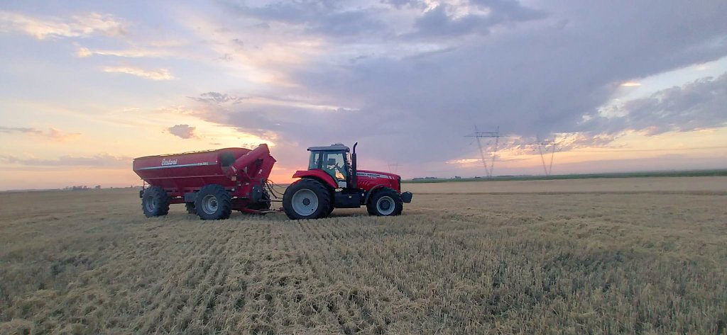 CestariTolvas's tweet image. Amanece en este #domingo y #Cestari siempre está. Cómo cada día junto al #campo argentino 🇦🇷.
Hermosa imagen nos envió Jeremías desde Bolívar, Buenos Aires.

#SomosCestari
#Cestari96años