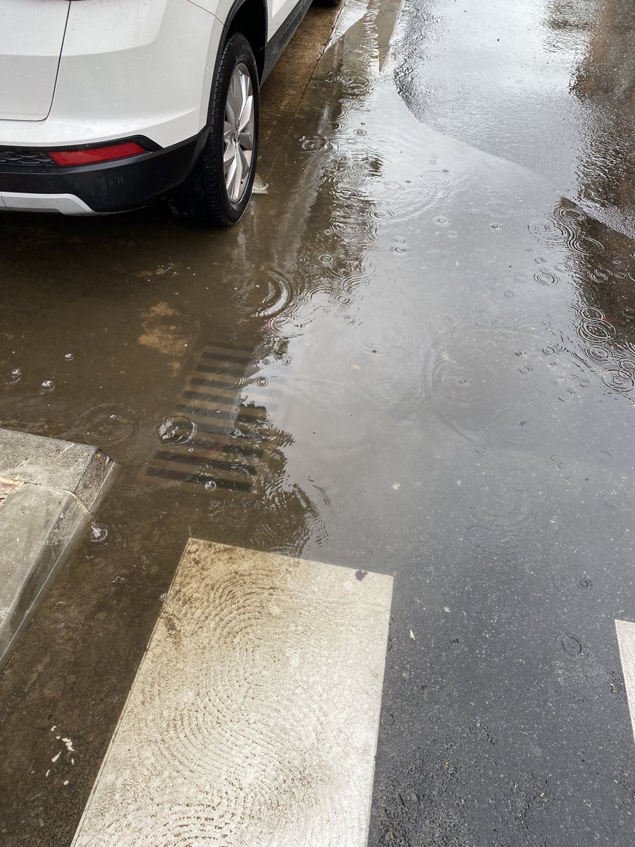 chus169's tweet photo. Llevamos 2 semanas con el alcantarillado mal y todavía nadie se @sansecomunica se ha dado cuenta, ni barrenderos, ni Policia, ni jardineros…quizás es que tampoco pasan por calle Beatriz Galindo @SanseQuejas https://t.co/Sf5SLgbvqt