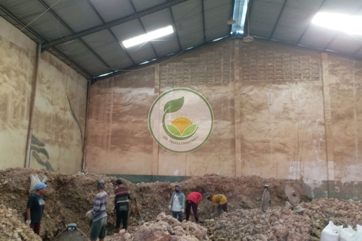 damarbatu's tweet photo. 🇲🇨 UD. Thessa (Damar Batu Indonesia Exporter)

⏱️ Ready Stock Bombay Quality &amp; Kalkuta Quality

🔗  Bombay Grade at $ 625 per MT (CNF)

🔗 Kalkutta Grade at $ 575 per MT (CNF)

☎️ Phone/WhatsApp at +62821-5447-8997 (Dodik)

🔗 Visit Our Website at https://t.co/g6XQ5z4qjk https://t.co/6lrGEuSALo