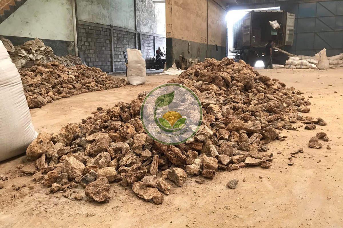 damarbatu's tweet photo. 🇲🇨 UD. Thessa (Damar Batu Indonesia Exporter)

⏱️ Ready Stock Bombay Quality &amp; Kalkuta Quality

🔗  Bombay Grade at $ 625 per MT (CNF)

🔗 Kalkutta Grade at $ 575 per MT (CNF)

☎️ Phone/WhatsApp at +62821-5447-8997 (Dodik)

🔗 Visit Our Website at https://t.co/g6XQ5z3StM https://t.co/GKL2Z0m1Xn