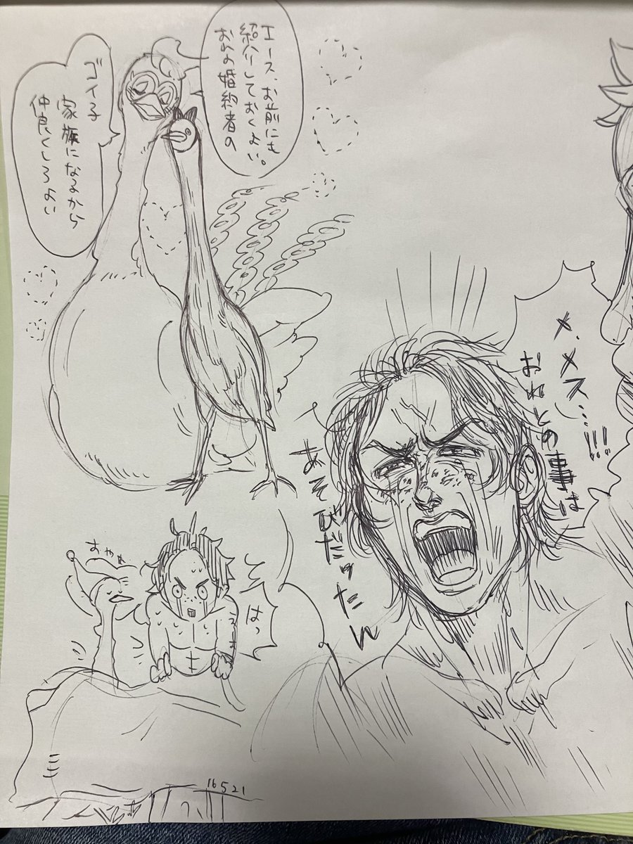 ワンピの頃のラクガキ、殆ど100均のA4無印ノートにボールペン一発描きのやつだから纏めて見られて荷造り進まない現象に陥ってしまった…自分が描いたやつやっぱ自分が一番好きじゃん?? 